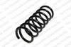 ROC CS6763 Coil Spring